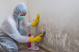 Best Asbestos and Lead Testing During Mold Inspection  in Groesbeck, OH